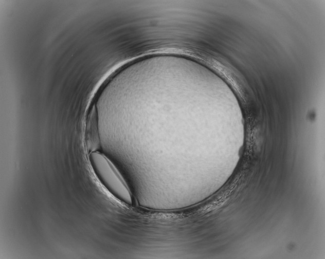 X0000098201092200805151223