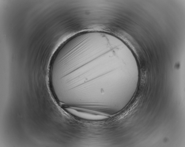 X0000098201093200805151223