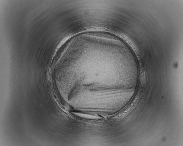 X0000098201097200805151222
