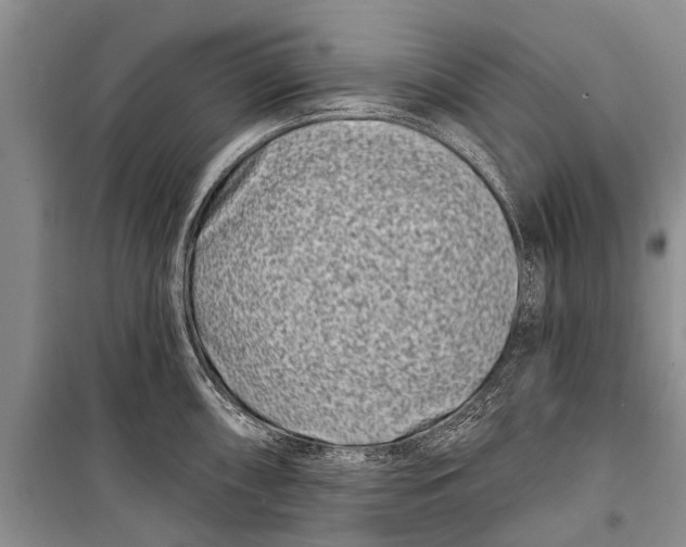 X0000098201098200805151222