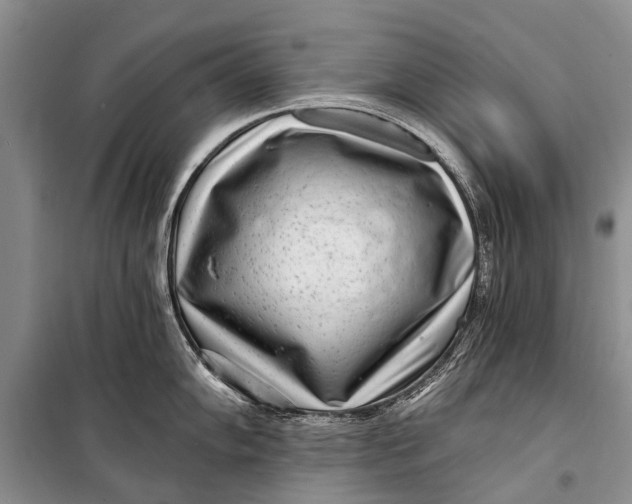 X0000098201102200805151222