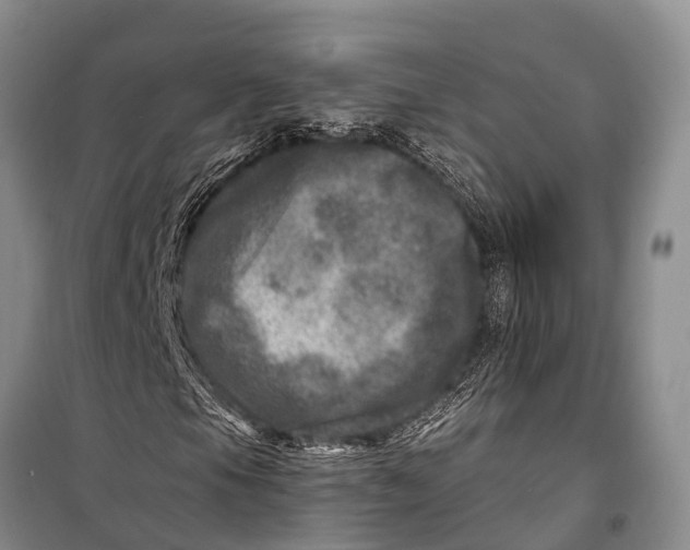 X0000098201105200805151222