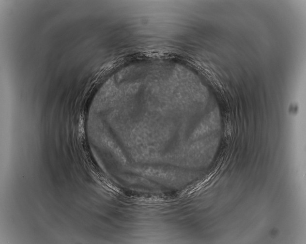 X0000098201106200805151222