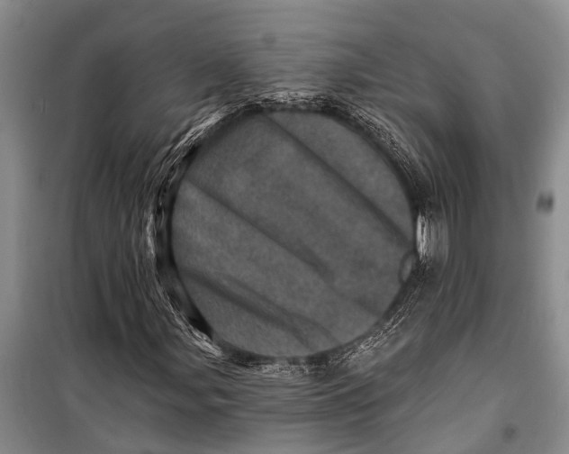 X0000098201107200805151222
