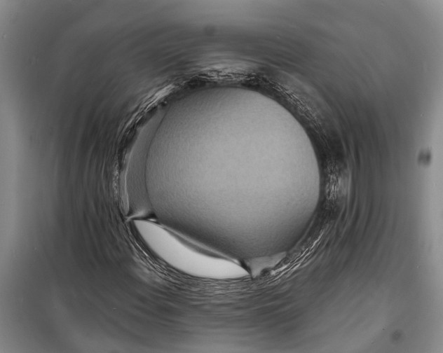 X0000098201108200805151222