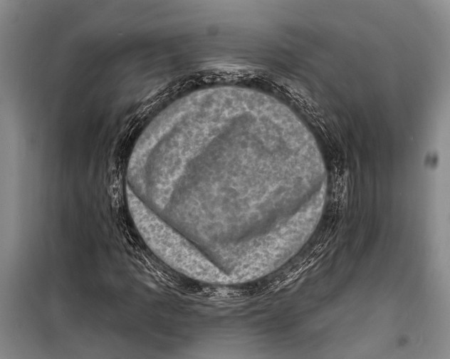 X0000098201109200805151222