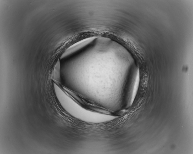 X0000098201110200805151222