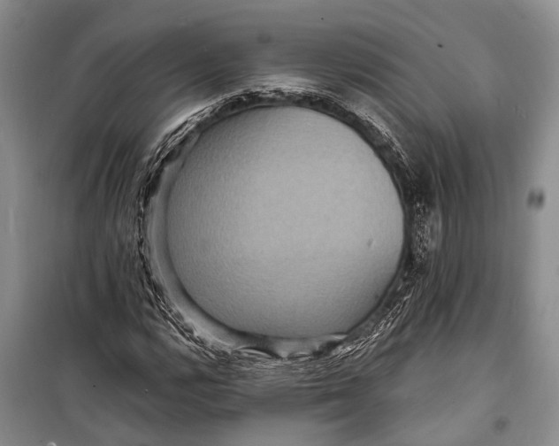 X0000098201112200805151222
