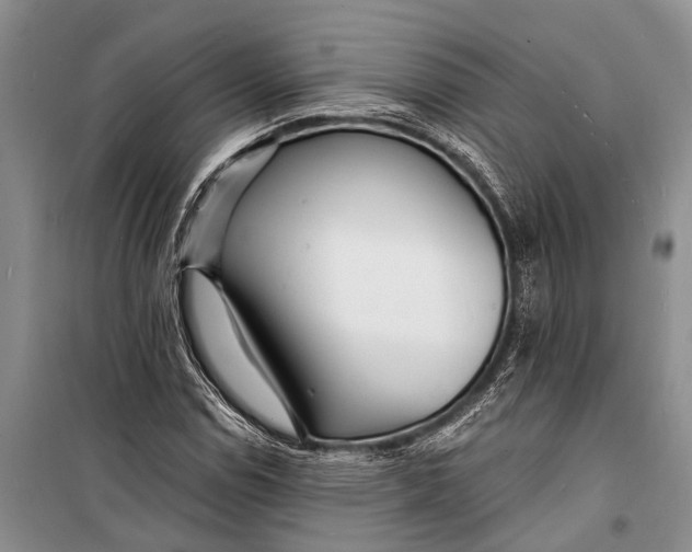X0000098201114200805151222