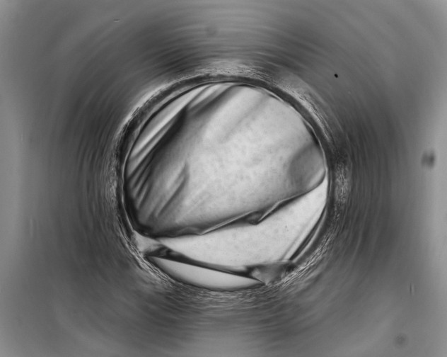 X0000098201115200805151222