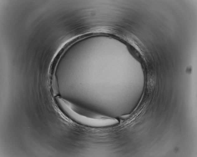 X0000098201116200805151222
