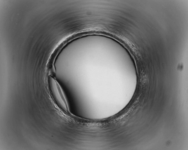 X0000098201118200805151222