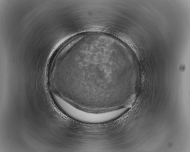 X0000098201120200805151222