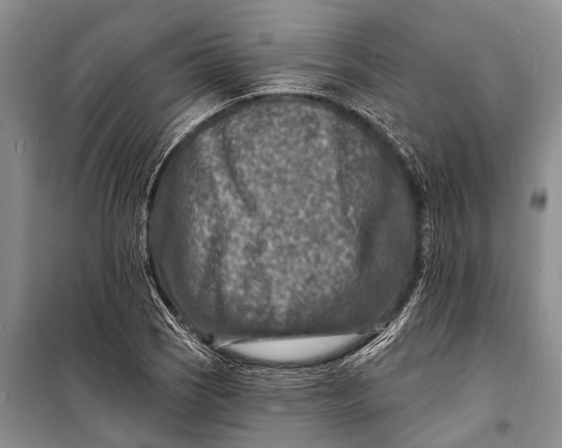 X0000098201121200805151222