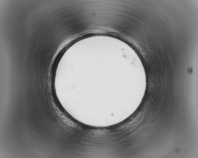 X0000098201122200805151222