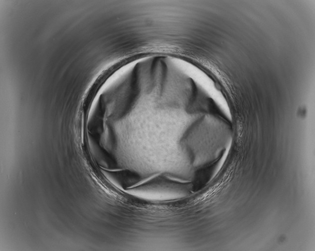 X0000098201123200805151222