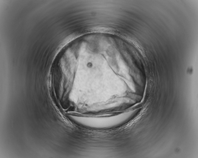 X0000098201125200805151222