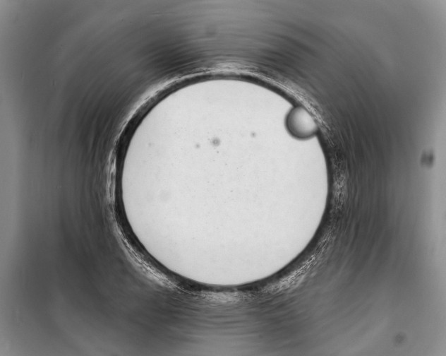 X0000098201126200805151222