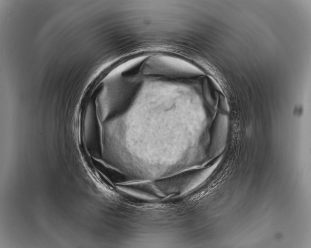 X0000098201127200805151222