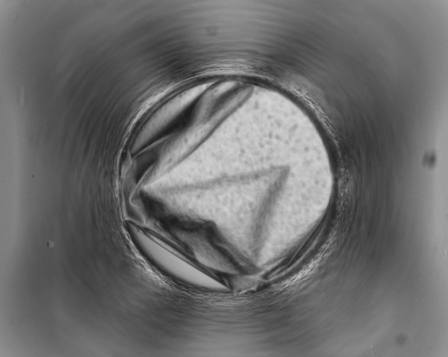 X0000098201129200805151222