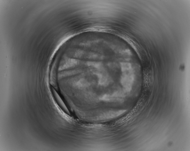 X0000098201131200805151222