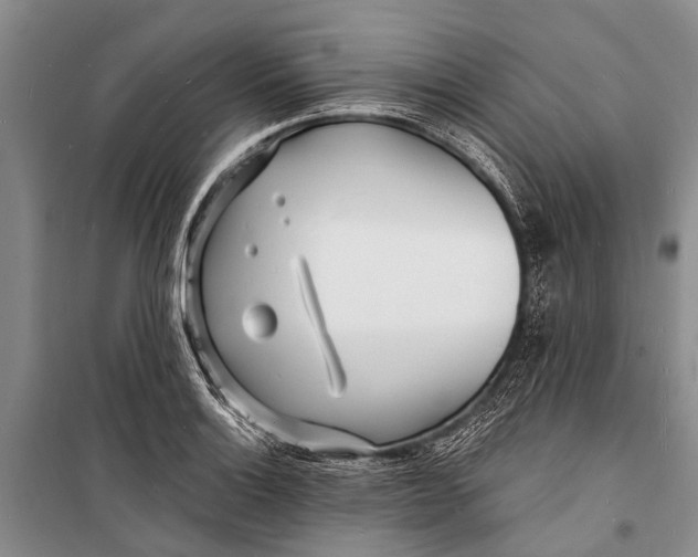 X0000098201132200805151222