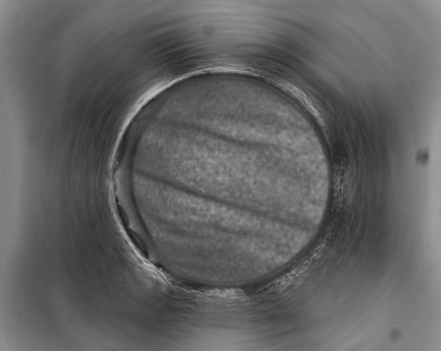 X0000098201133200805151222