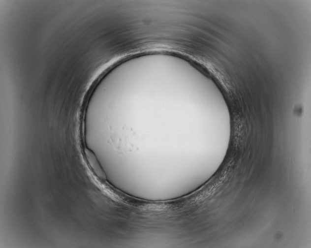 X0000098201134200805151222