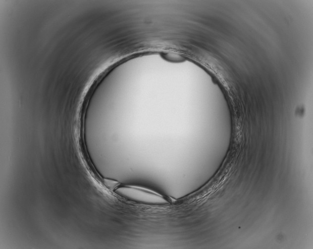X0000098201136200805151222