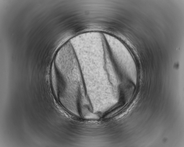 X0000098201137200805151222
