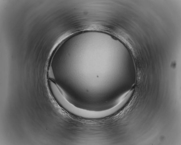 X0000098201138200805151222