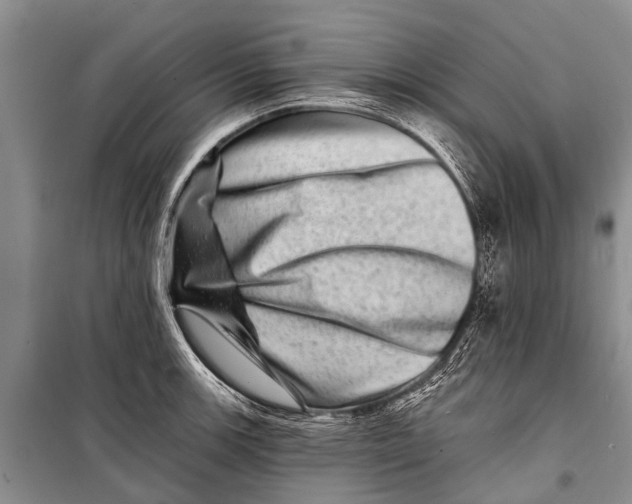X0000098201139200805151222