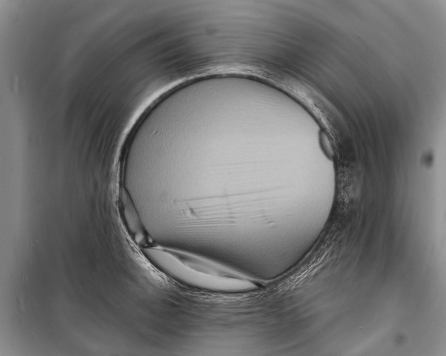 X0000098201140200805151222