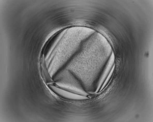 X0000098201141200805151222