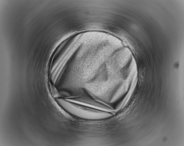 X0000098201142200805151222