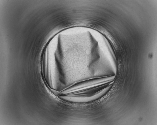 X0000098201143200805151222