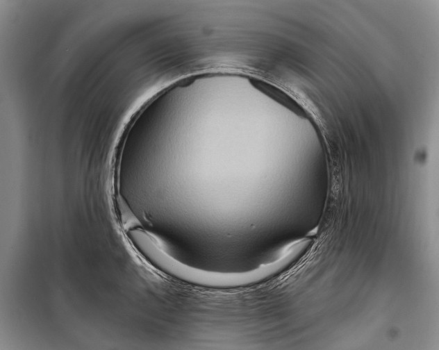 X0000098201144200805151222