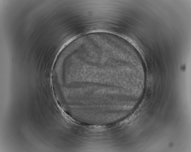 X0000098201145200805151222
