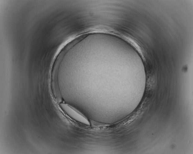 X0000098201146200805151222