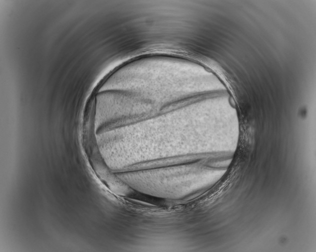 X0000098201147200805151222