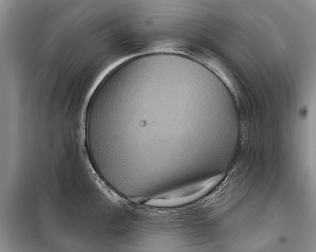 X0000098201148200805151222