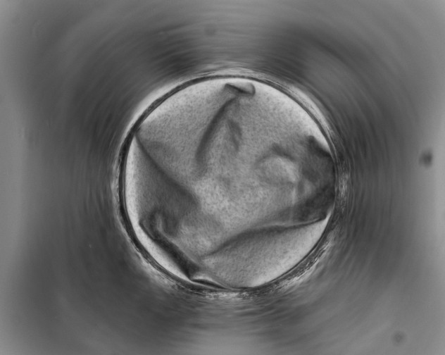 X0000098201149200805151222