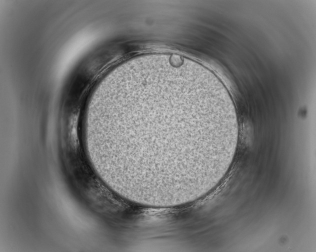 X0000098201150200805151222