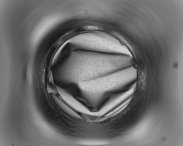 X0000098201151200805151222