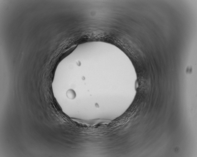 X0000098201153200805151222