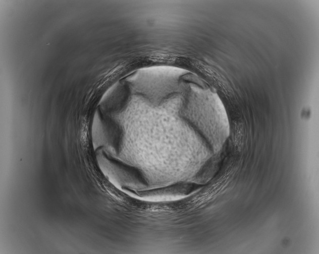 X0000098201154200805151222