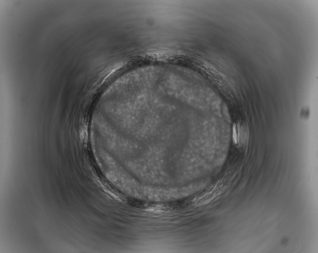 X0000098201155200805151222