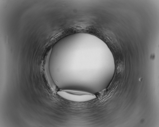 X0000098201156200805151222