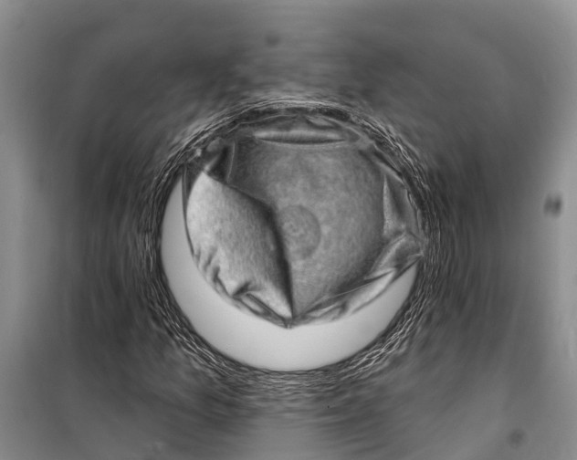 X0000098201157200805151222
