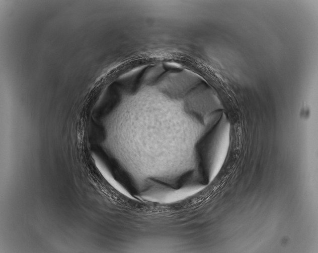X0000098201158200805151222